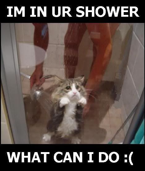 shower.jpg