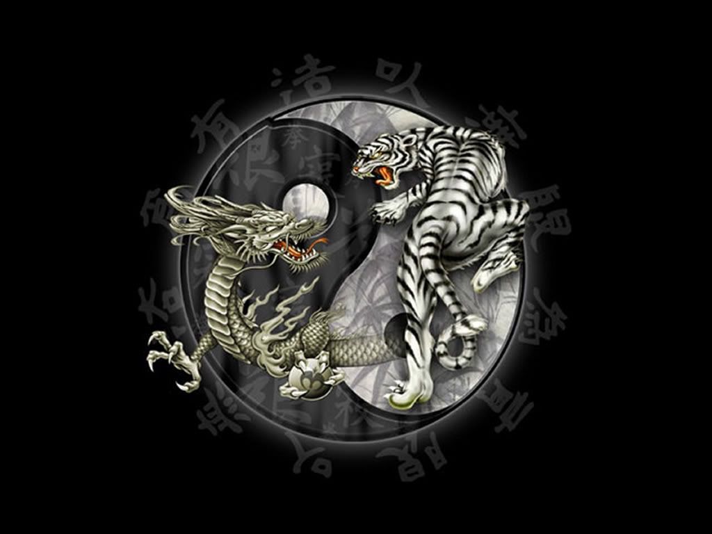 Yin Yang - Dragon &amp; Tiger Pictures, Images and Photos