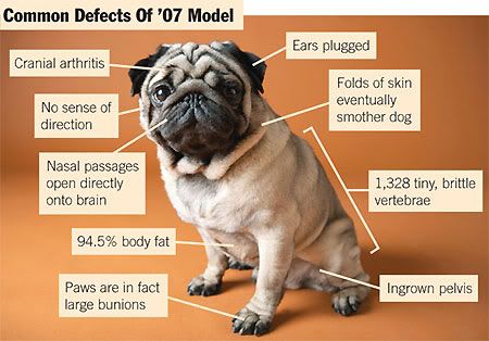 Human Inbreeding Deformities