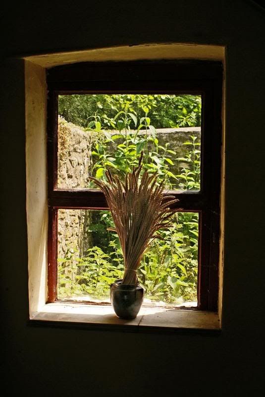 window