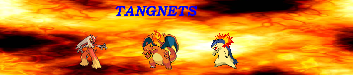 TANGNETS.png