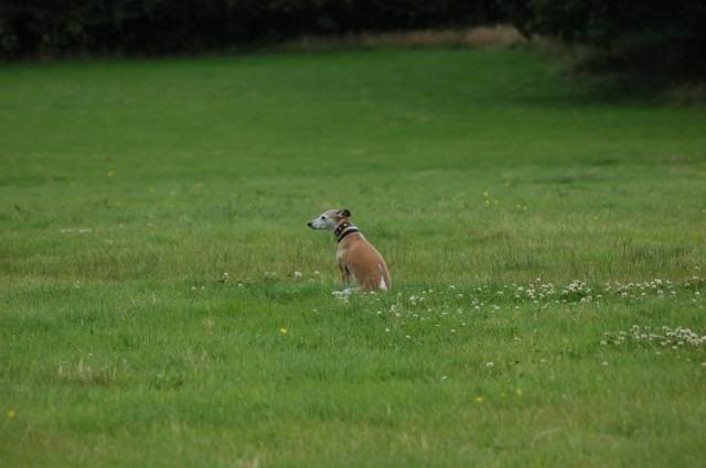 Picture066.jpg