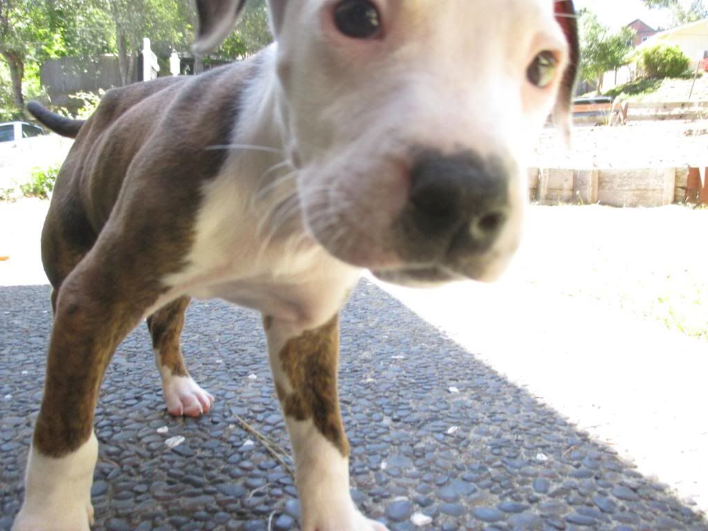 IMG_0107_zps4e1f5a59.jpg~original