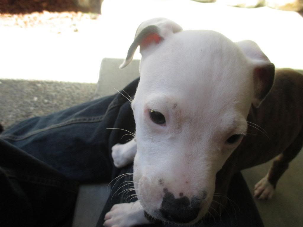 IMG_0112_zps2503d289.jpg~original