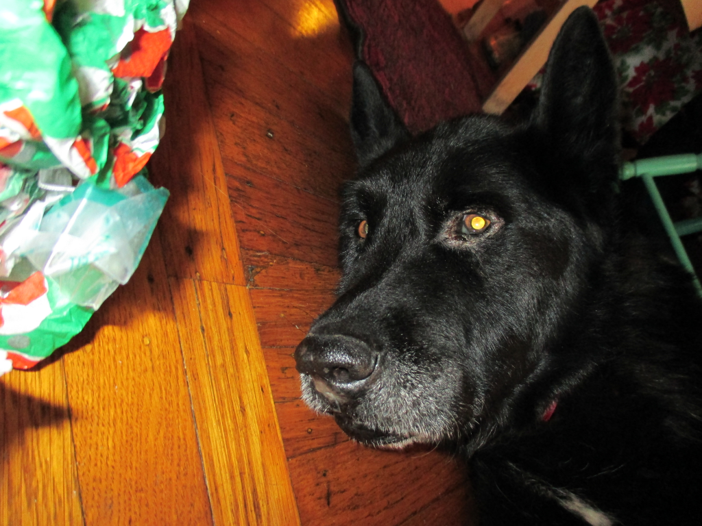 kodi6_zpsf5cc6f39.png~original