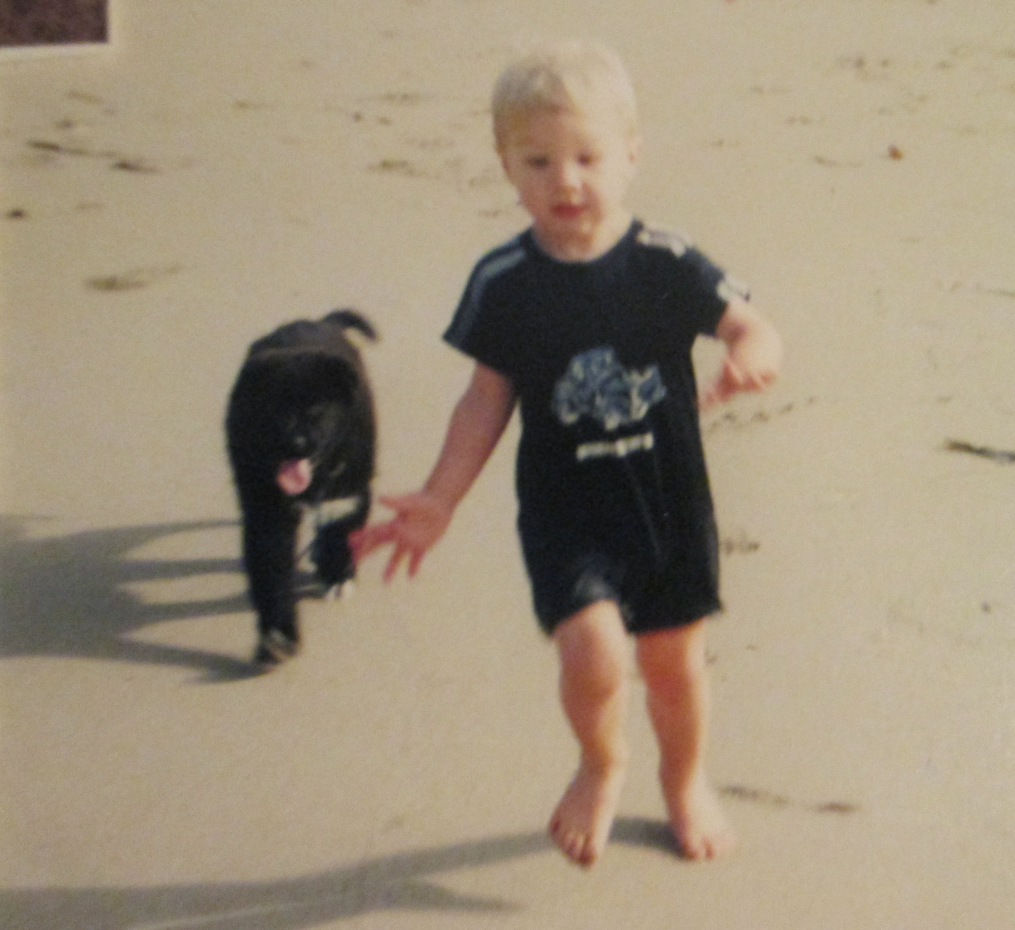 kodipuppy_zps9898d235.png~original