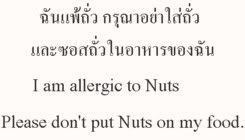 Traducción de palabras de Castellano al Tailandés - Thai - Foro Tailandia