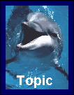 New Topic