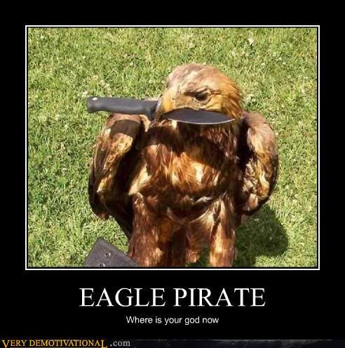 Eagle Pirate