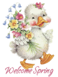 Happy Spring white duck