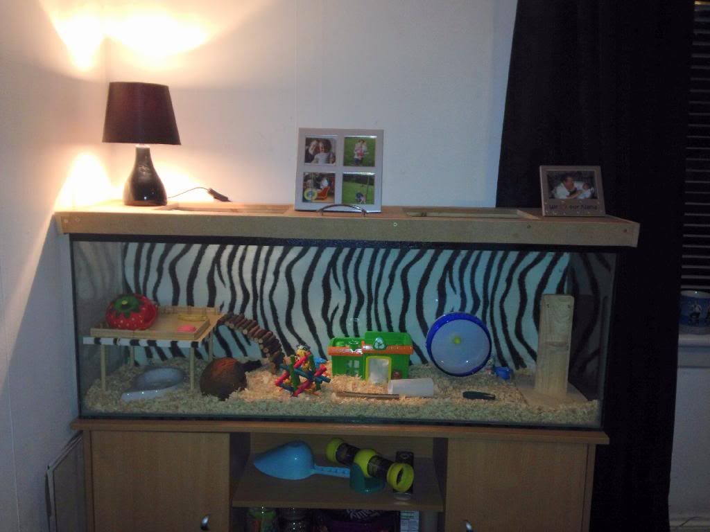 hamster water bottle holder diy