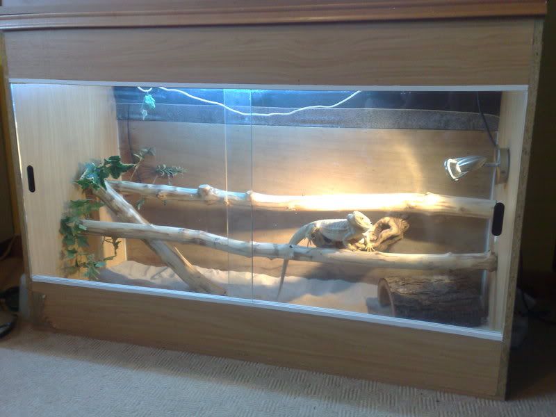 Large Vivarium