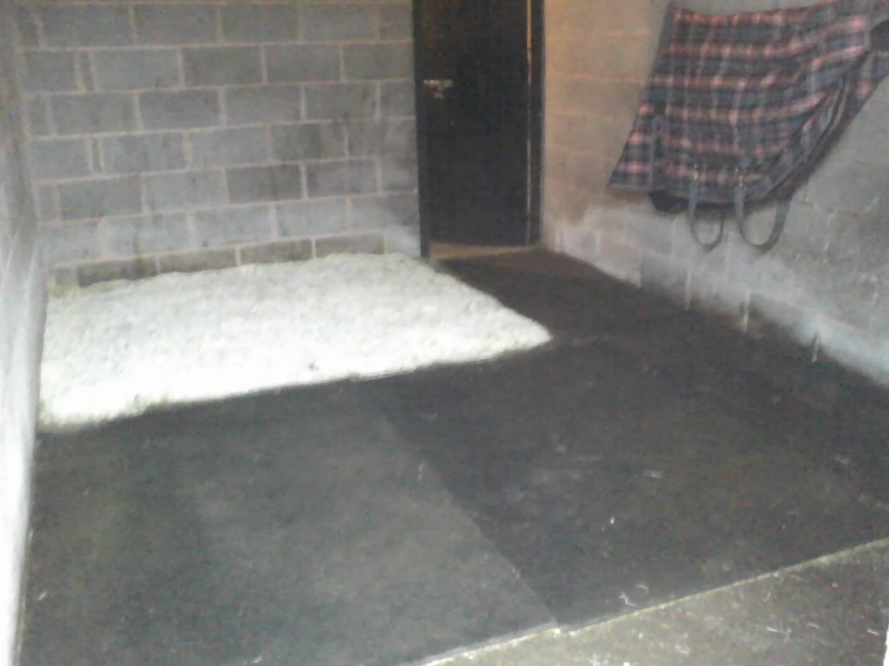 Mucking out before and after New Rider Forum