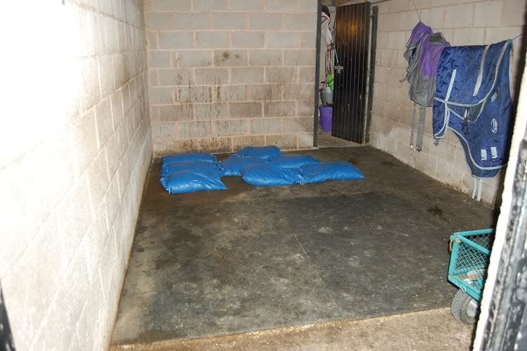 Show us your pellet beds...