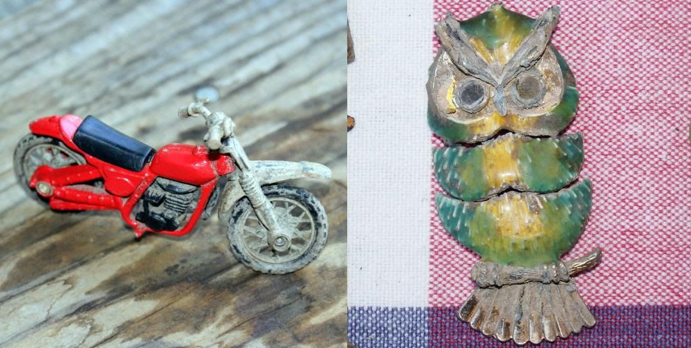 Motorcycle_Owl.jpg