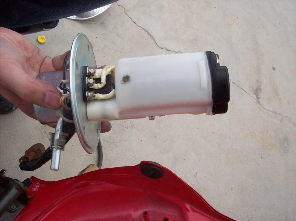 Sv650s Fuel Pump Wiring