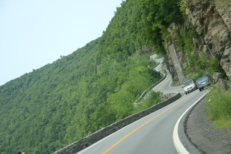 IMAGE: http://i145.photobucket.com/albums/r213/joanfstel/IMG_0137.jpg