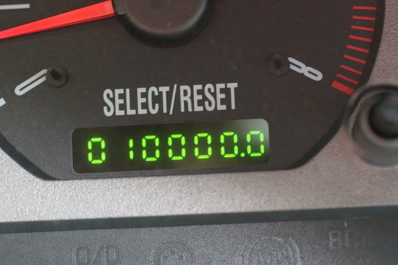 IMAGE: http://i145.photobucket.com/albums/r213/joanfstel/IMG_2509.jpg