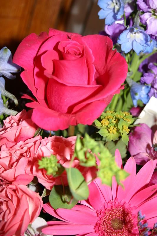 IMAGE: http://i145.photobucket.com/albums/r213/joanfstel/IMG_2784.jpg