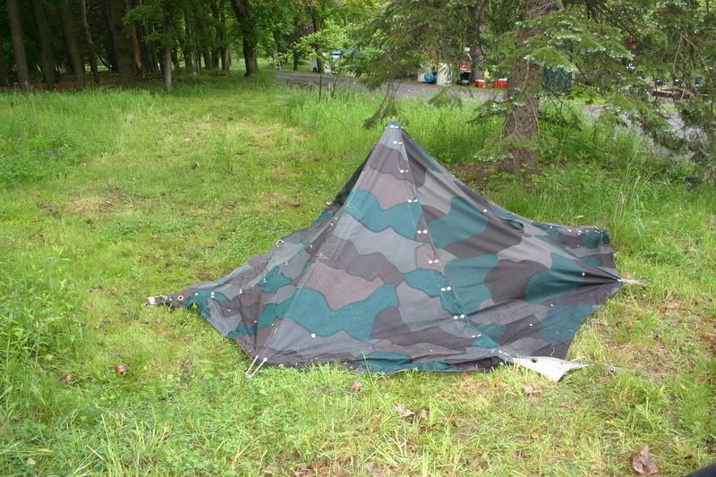 IMAGE: http://i145.photobucket.com/albums/r213/joanfstel/IMG_3255.jpg