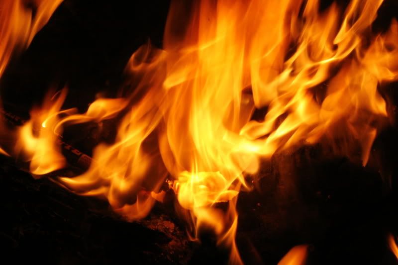 IMAGE: http://i145.photobucket.com/albums/r213/joanfstel/_MG_3271.jpg