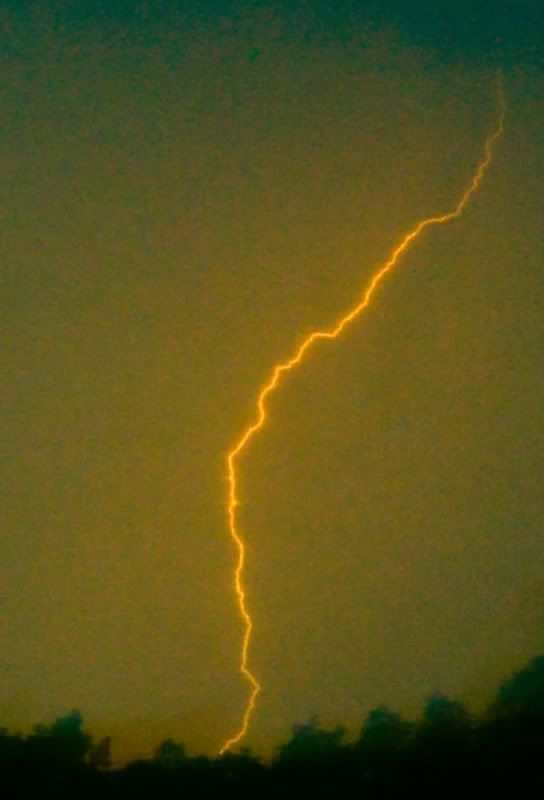 IMAGE: http://i145.photobucket.com/albums/r213/joanfstel/lightening3PSE5noisereduction.jpg