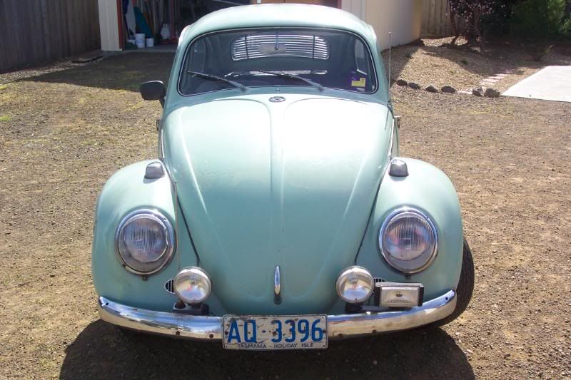http://i145.photobucket.com/albums/r213/kombimatt/Fritz/Picture028.jpg