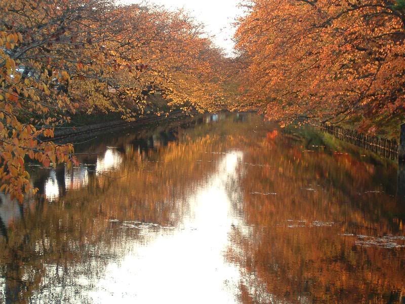 Fall colours in Hirosaki, Aomori-ken