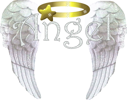 04.gif angel wings image by kimball07