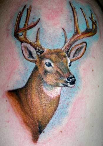 Animal Tattoos Deer Head