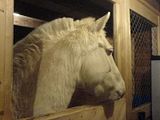 th_DSC00119.jpg