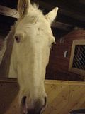 th_DSC00123.jpg
