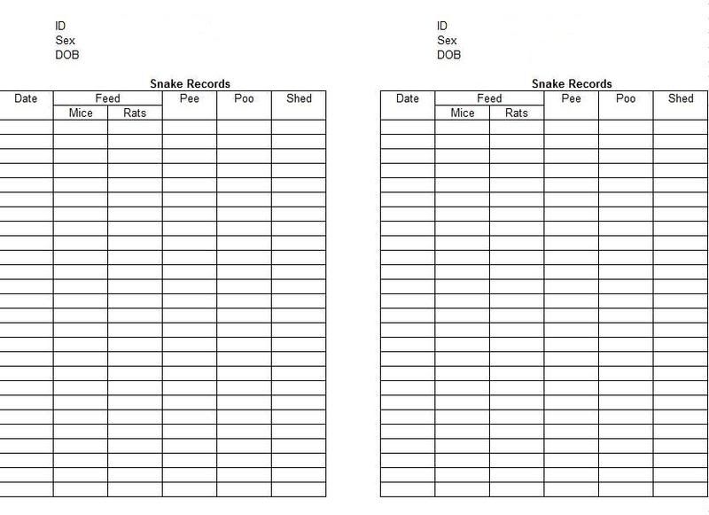 Keeping records Page 3 Reptile Forums