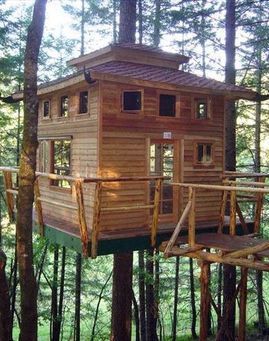 Vertical Horizons Treehouse Paradise