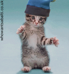Dancing cat Pictures, Images and Photos