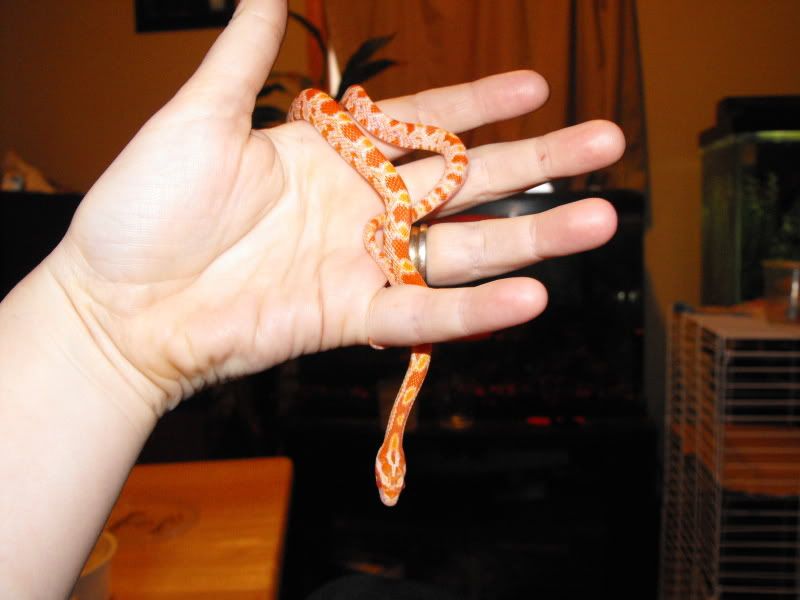 DSCF6051.jpg