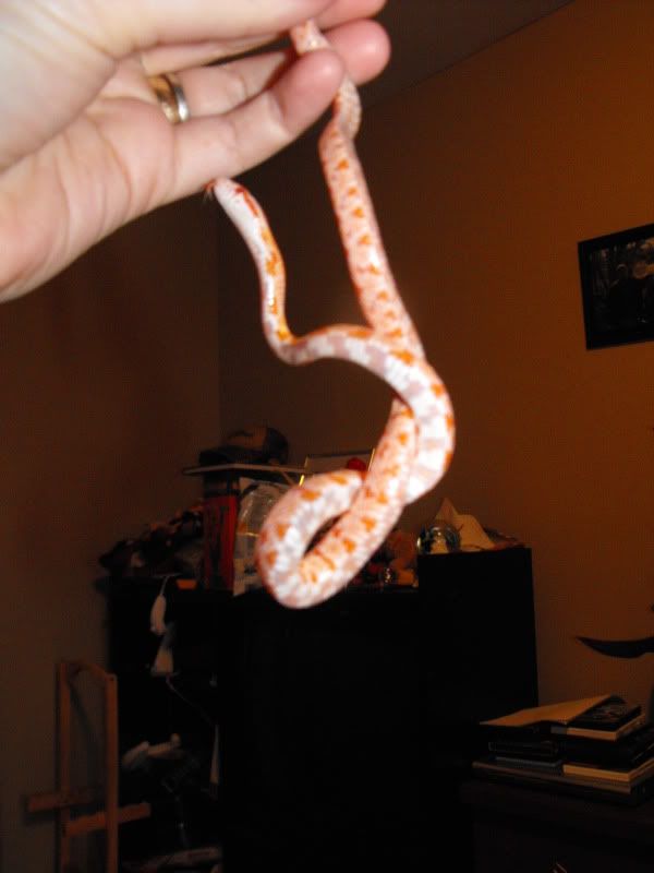 DSCF6060.jpg