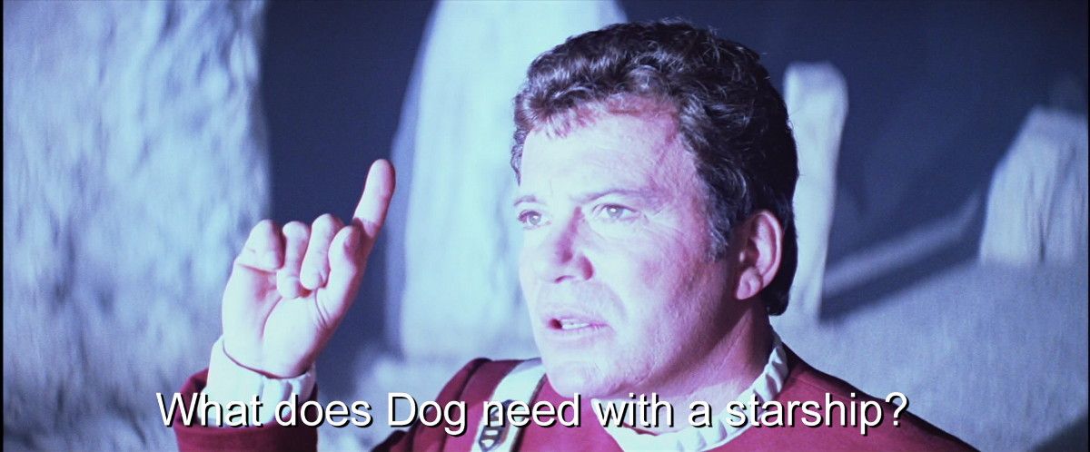 Dog.jpg