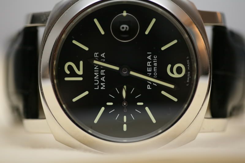 PAM104-1.jpg