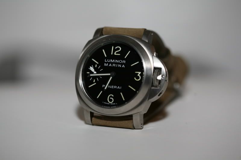 PAM177-1.jpg