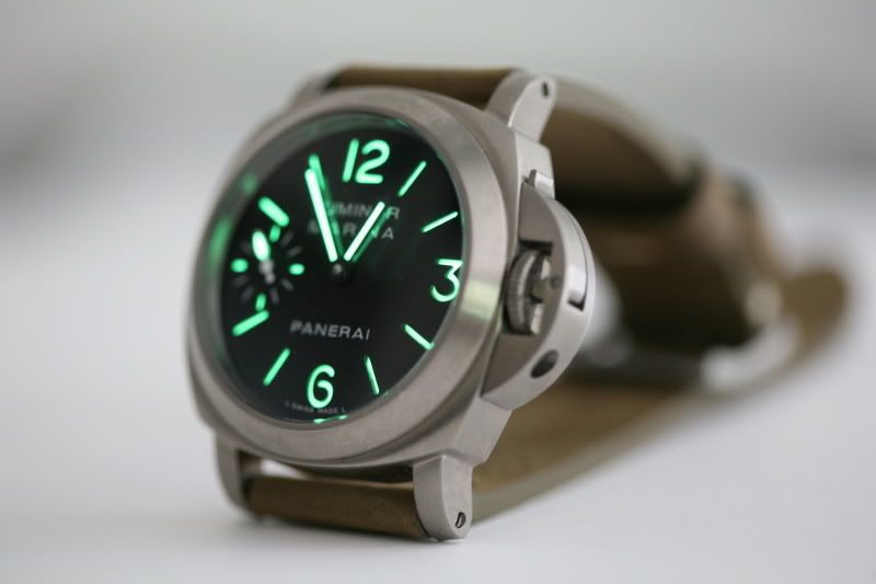 PAM177-3.jpg