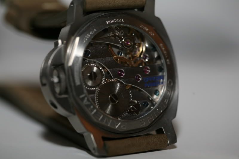 PAM177-4.jpg