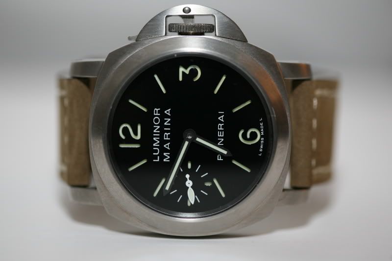 PAM177-5.jpg