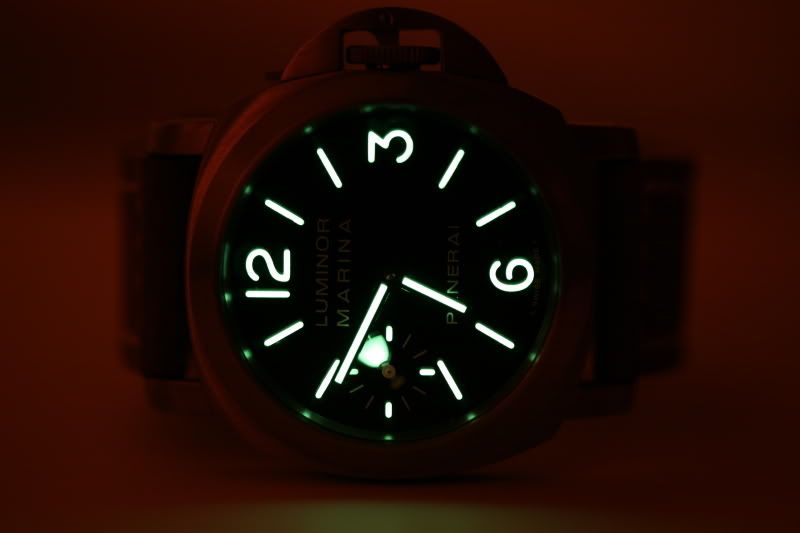 PAM177-6.jpg