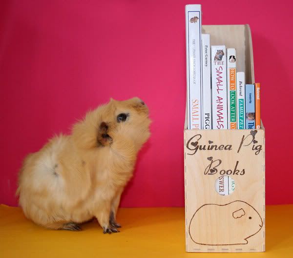 Guinea-pig-book-holder.jpg