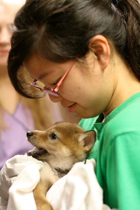 IMAGE: http://i145.photobucket.com/albums/r221/ecotton22/Dogs/IMG_6857_2.jpg