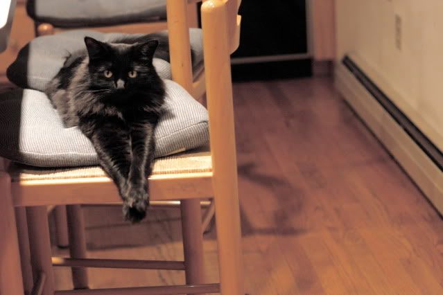 IMAGE: http://i145.photobucket.com/albums/r221/ecotton22/IMG_6015_2.jpg