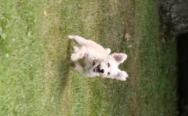 IMAGE: http://i145.photobucket.com/albums/r221/ecotton22/IMG_8117.jpg