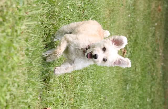 IMAGE: http://i145.photobucket.com/albums/r221/ecotton22/IMG_8118.jpg