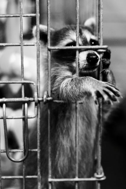 IMAGE: http://i145.photobucket.com/albums/r221/ecotton22/Nature%20Things/IMG_7130.jpg